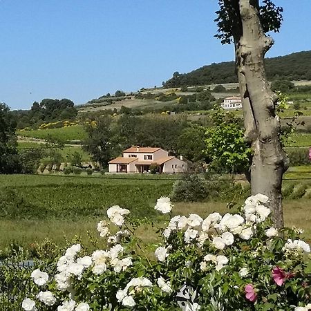 Roujan Domaine De Peilhan المظهر الخارجي الصورة