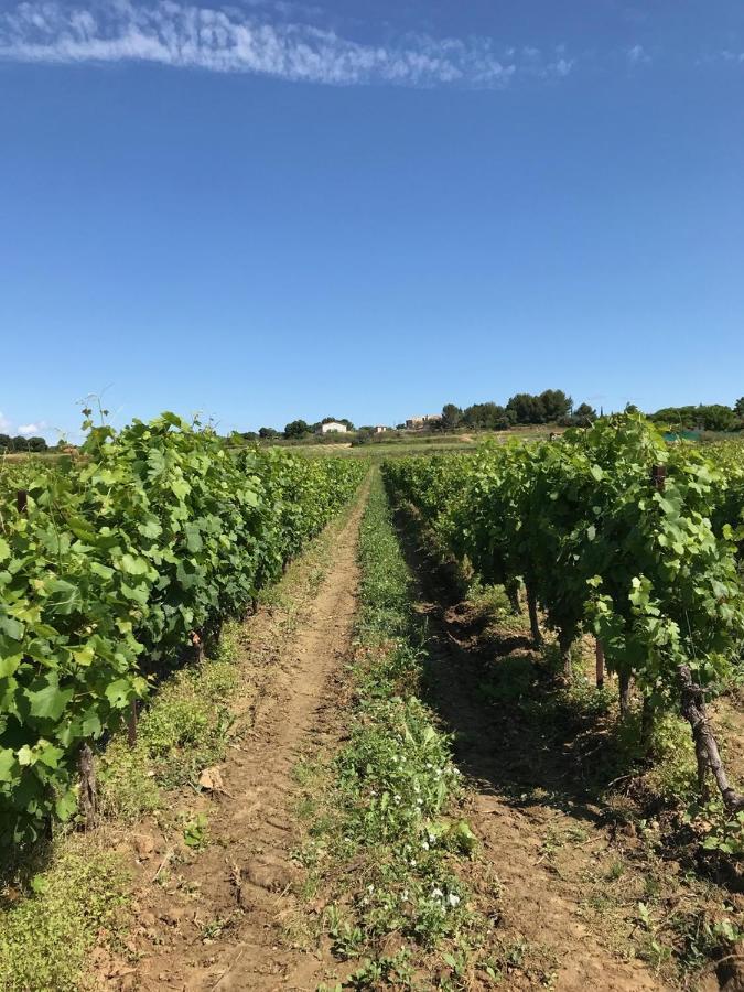 Roujan Domaine De Peilhan المظهر الخارجي الصورة