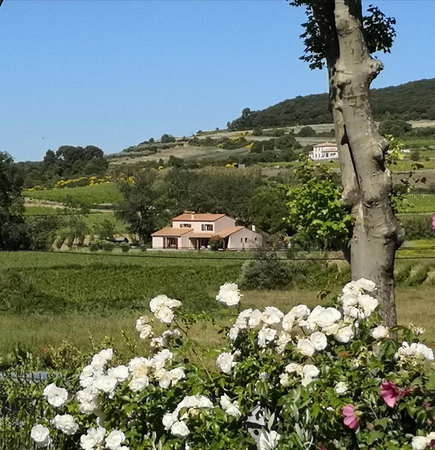 Roujan Domaine De Peilhan المظهر الخارجي الصورة