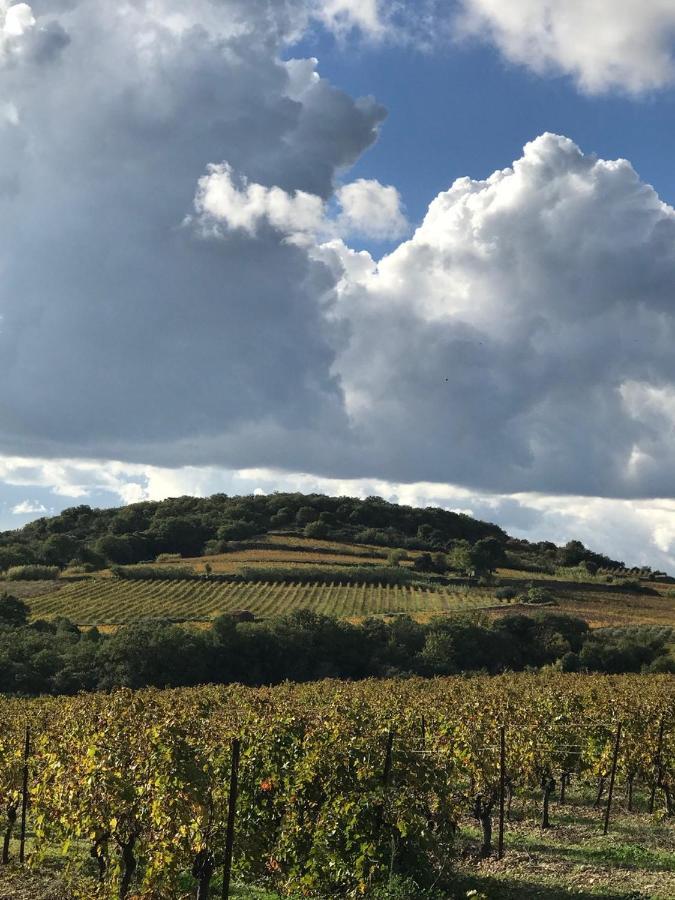 Roujan Domaine De Peilhan المظهر الخارجي الصورة
