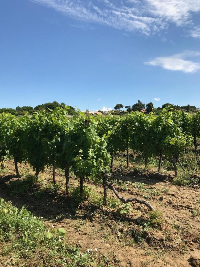 Roujan Domaine De Peilhan المظهر الخارجي الصورة