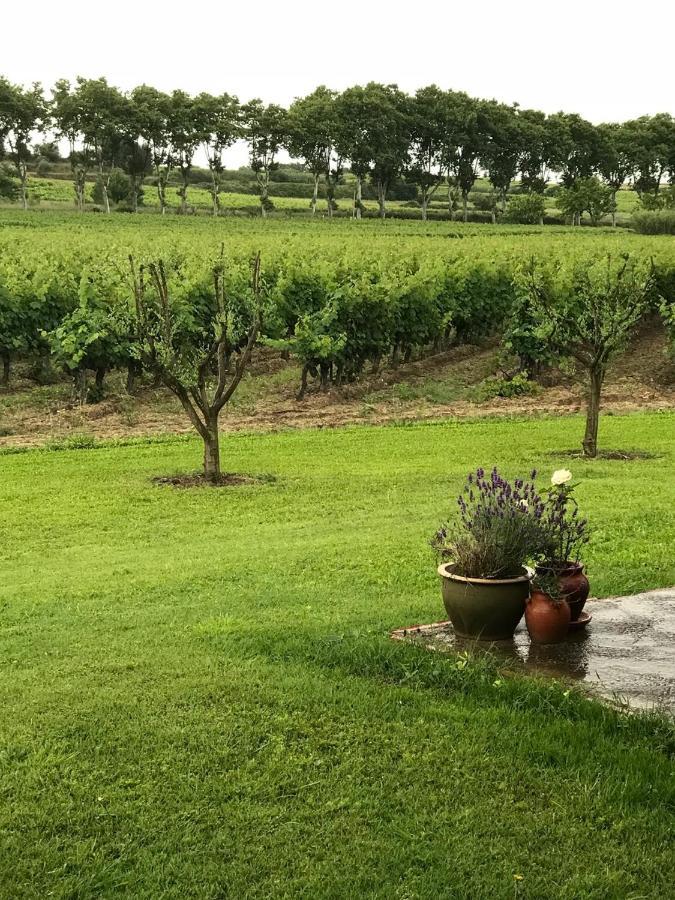 Roujan Domaine De Peilhan المظهر الخارجي الصورة