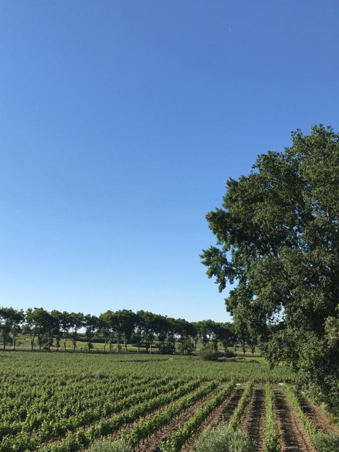 Roujan Domaine De Peilhan المظهر الخارجي الصورة