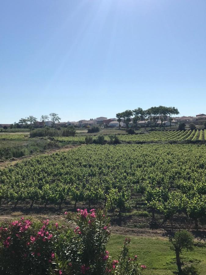 Roujan Domaine De Peilhan المظهر الخارجي الصورة